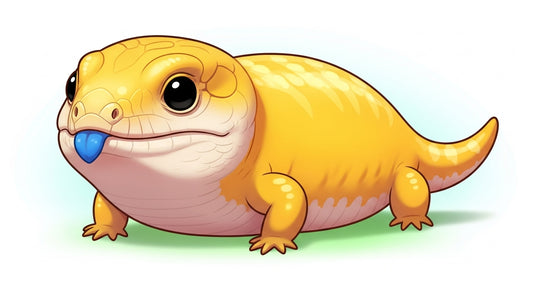 Skink 2TB Cloud Storage | Annual Plan | Unlimited Devices